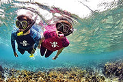 Dry Snorkel with Purge Valve Flexible Tube and Quick Connect Clip