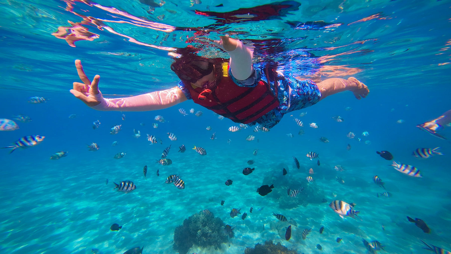 Snorkel & Dive